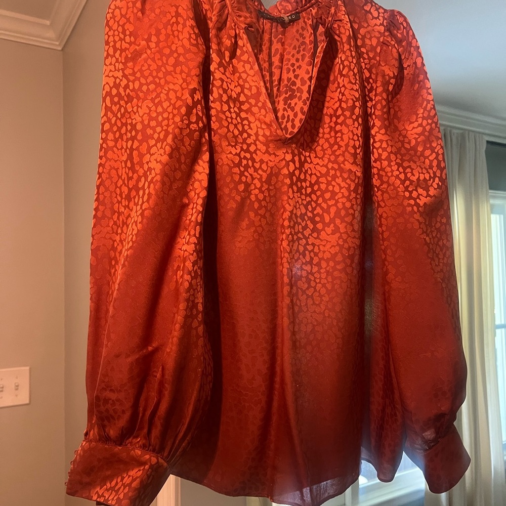 Chic Satin Blouse with Leopard Print